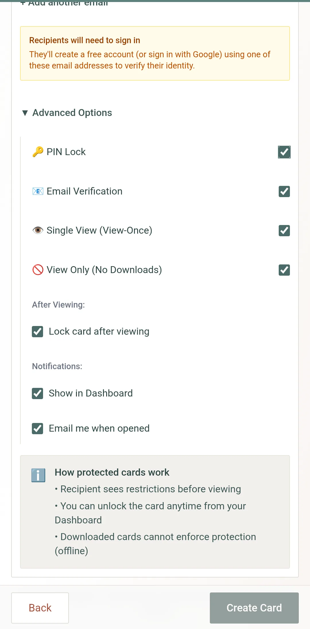 Custom’s Advanced Options — PIN, email verification, single view, view only, lock after viewing, notifications